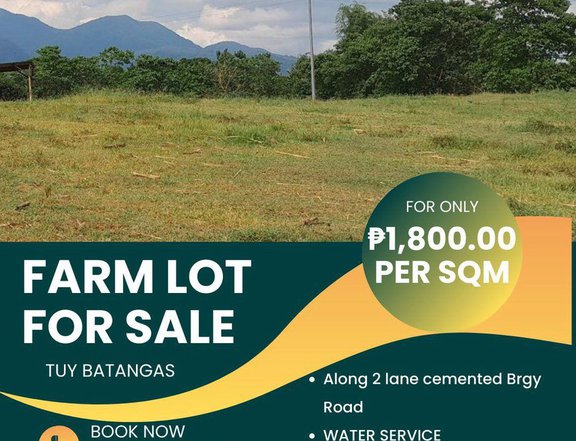 Residential Farm For Sale in Tuy Batangas