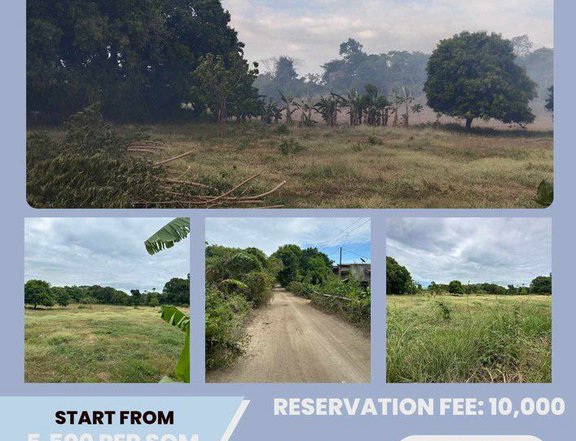 Residential Lot For Sale in Calatagan Batangas