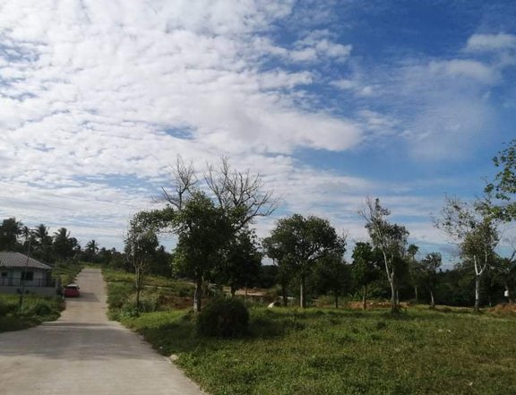 Farmlot in Mendez Cavite