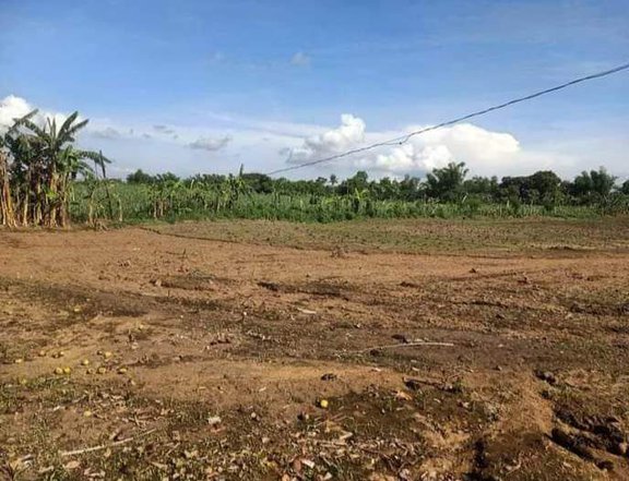 7000 sqm Residential Farm For Sale in Balayan Batangas