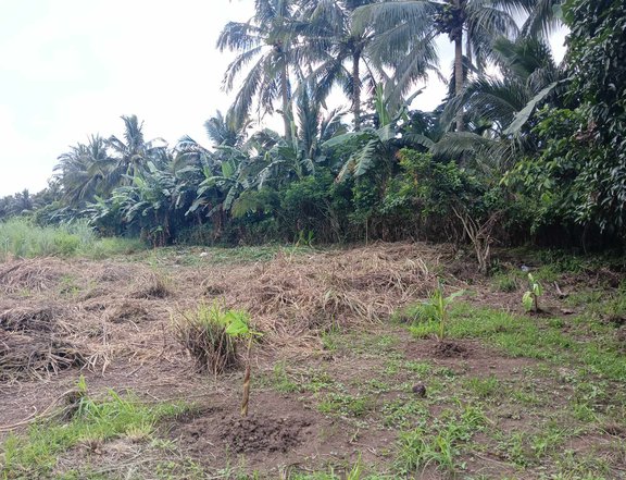 200 sqm Residential Lot INSTALLMENT BASIS For Sale in Silang Cavite