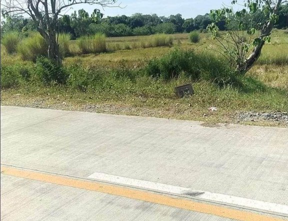 11708 sqm Agricultural Farm For Sale in Umingan Pangasinan