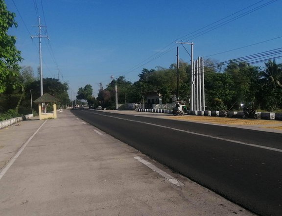 2020 sqm Commercial lot For Sale in Bugallon Pangasinan