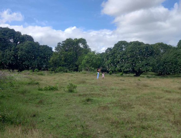 200 sqm Residential Farm For Sale in Indang Cavite