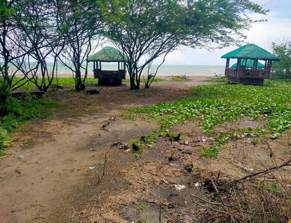 1,320 sqm Beach Property For Sale in Caba La Union
