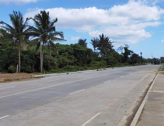 500 sqm commercial lot along East-West Road, Halang Amadeo Cavite