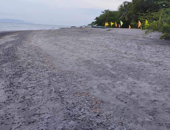 Installment Beach Access | 100 SQM | Banaybanay Davao Del Norte