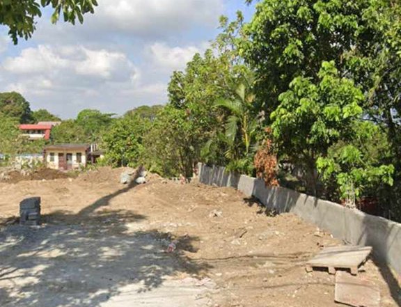 348 sqm Commercial Lot For Sale in Dasmarinas Cavite