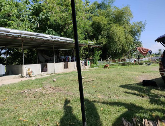 1 hectare Residential Farm For Sale in Koronadal South Cotabato