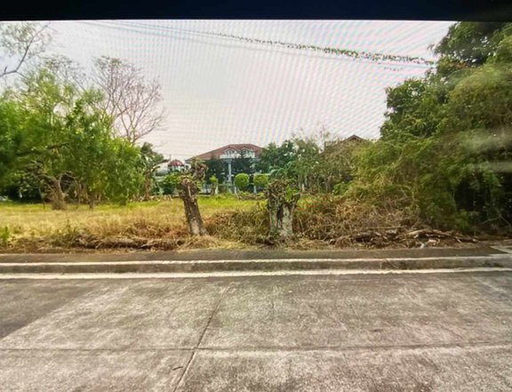 Residential Lot for Sale in Brittany Subdivision near SM Fairview