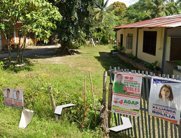 5172 sqm Residential Lot For Sale in San Juan Batangas
