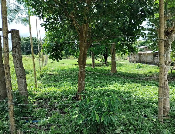 subdivided residential farm for sale in Laiya