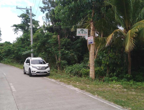 Selling Residential / Commercial Beach Property in Panglao, Bohol.