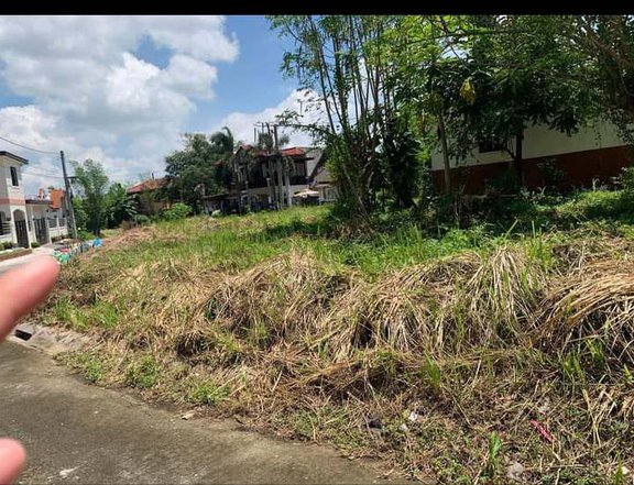 Residential Lot in Sto.Tomas Batangas