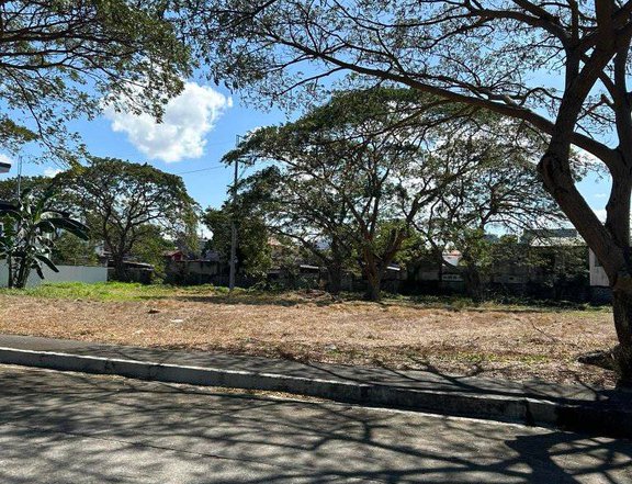 600 sqm. Residential lot For Sale in Orchard Golf Dasmarinas Cavite