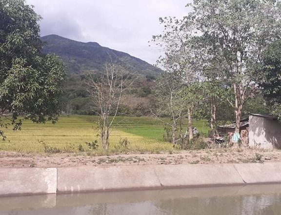 580000 sqm Agricultural Farm For Sale in Arayat Pampanga