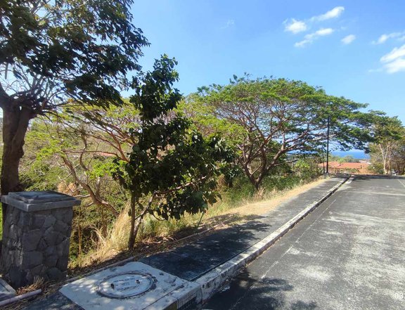 Rare 707 sqm Lot in Terrazas de Punta Fuego Batangas Beach Property