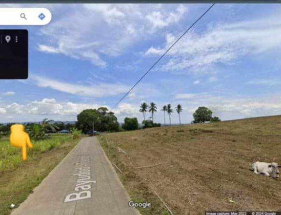 1,010 sqm Residential Farm For Sale in Tuy Batangas