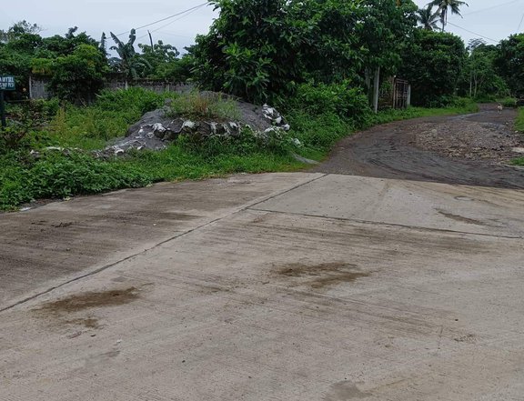 Residential lot subdivided private property