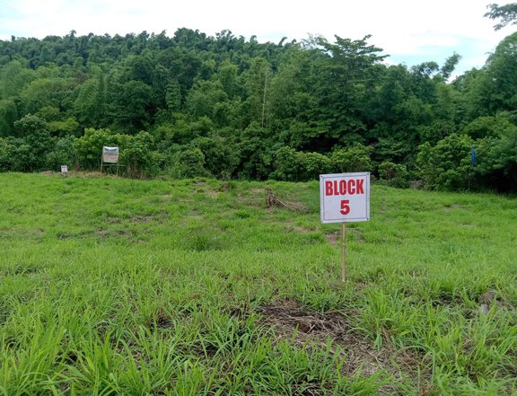 Residential and Farm Lot in Brgy Quisao
