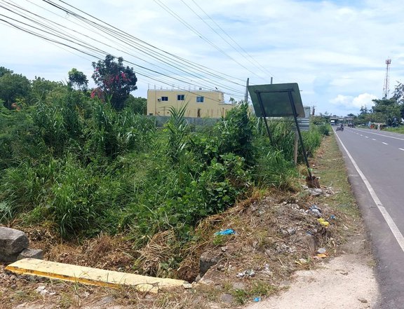 Lot for sale 1187 sqm. In Hinigaran Negros Occidental
