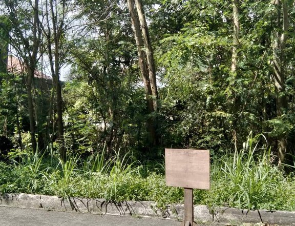 450sqm Residential Lot in Grandheights Subd,Antipolo Rizal