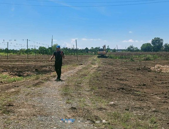 Installment 1,300 sqm Residential Farm Lot For Sale in Santo Tomas Davao Del Norte