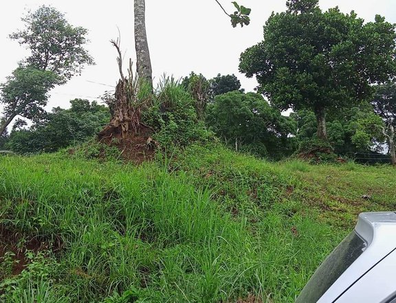 180 sqm Residential Lot For Sale in Tagaytay Cavite