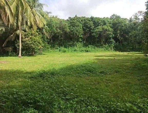 COMMERCIAL AND RESIDENTIAL LOT IN CAMOTES