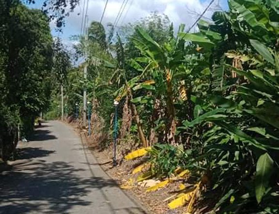 9169sqm. Land for sale Alfonso Cavite