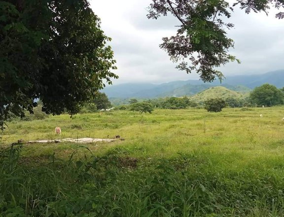 4.7 hectares Farm Lot for sale, clean title (TCL)