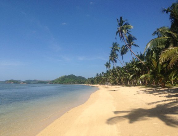 3.1 hectares Beach Property For Sale in Busuanga Palawan