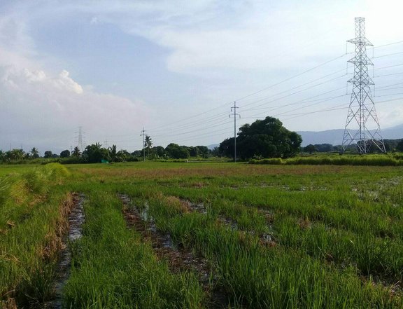 10061 sqm Agricultural Farm For Sale in Abucay Bataan