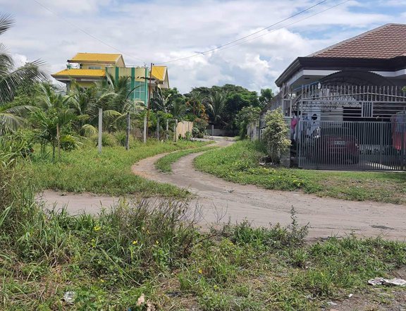 395 sqm  Lot For Sale Near to Highway!