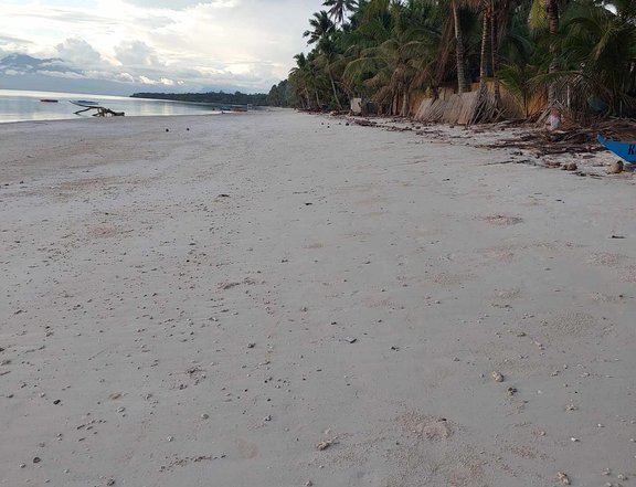 Beach  Lot for Sale  at Solangon, Siquijor