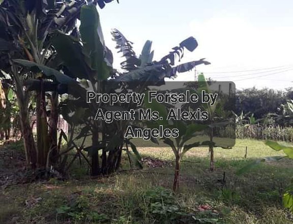 500 sqm Residential Lot For Sale By Owner in Baliuag Bulacan