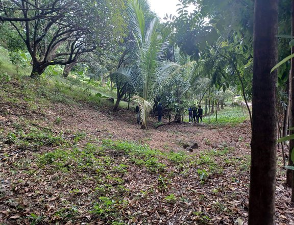 495SQM Lot for sale in Antipolo City