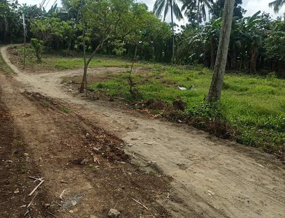 Lot For Sale Clean Title Silang Cavite