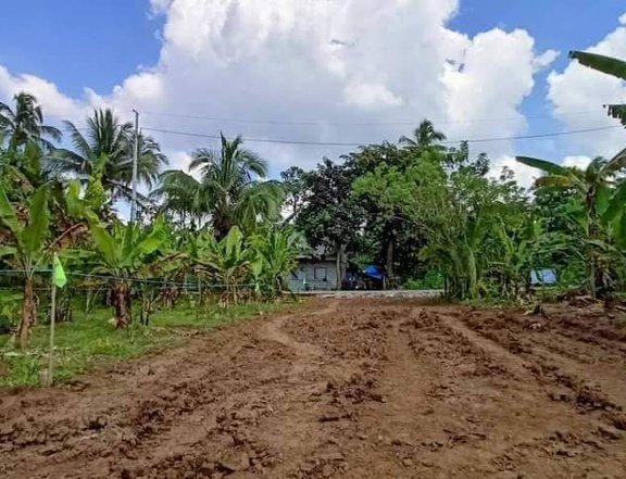 Installment Residential farm lot in Alfonso Cavite-Corner Lot