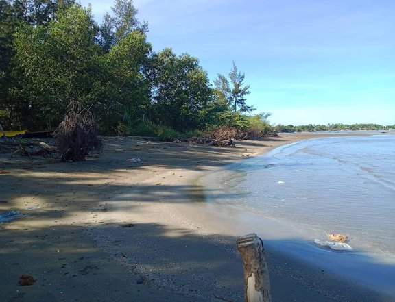 10000 sqm Beach Property For Sale in Palauig Zambales