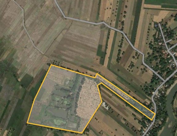23hertares lot for sale (agricultural farm))