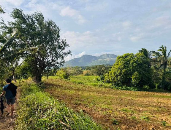 1,000 sqm Residential Farm For Sale in Tuy Batangas