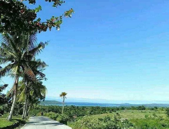 Overlooking to seaview, 100 sqm Residential Lot For Sale in Badian Cebu