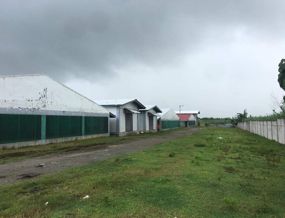 2.4hectares operational poultry at tuy batangas