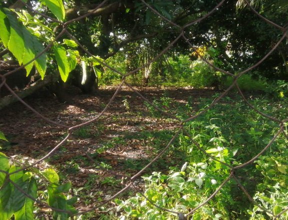 500 sqm Residential Lot For Sale in Bugallon Pangasinan