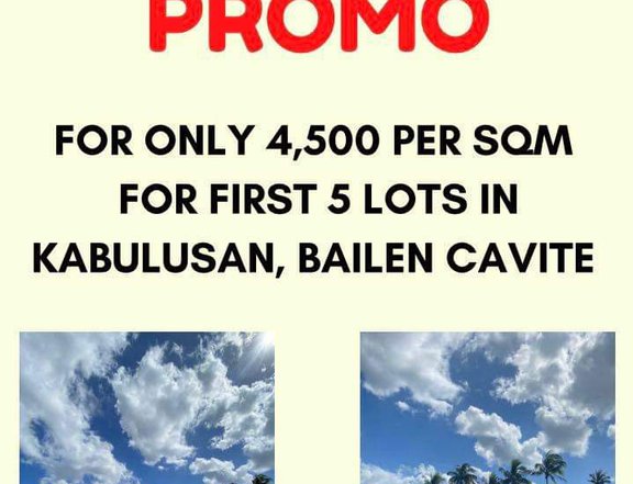 PROMO Residential Farmlot for Sale ALONG EAST-WEST ROAD