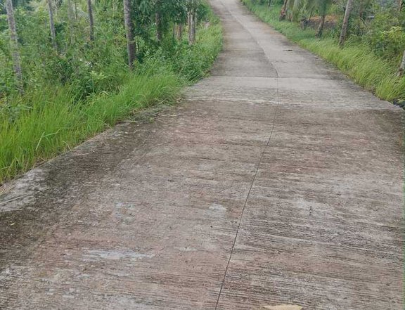 3.2 hectares Residential Farm For Sale in Sogod Cebu