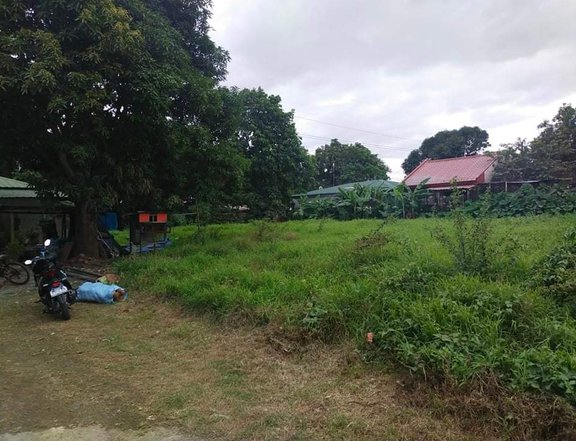 812sqm Commercial/ Residential Lot for Sale in San Jose Del Monte Bula