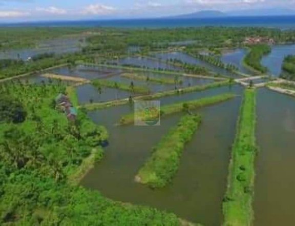 17 Hectares Operating Fish Farm For Sale