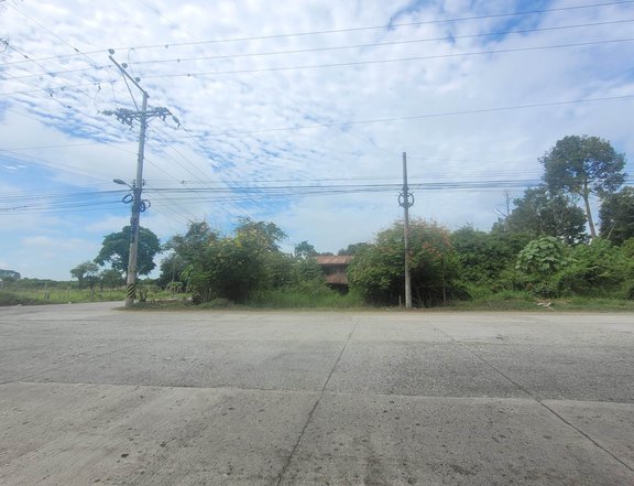 1.62 Hectares Residential Farm For Sale In Panabo, Davao del Norte